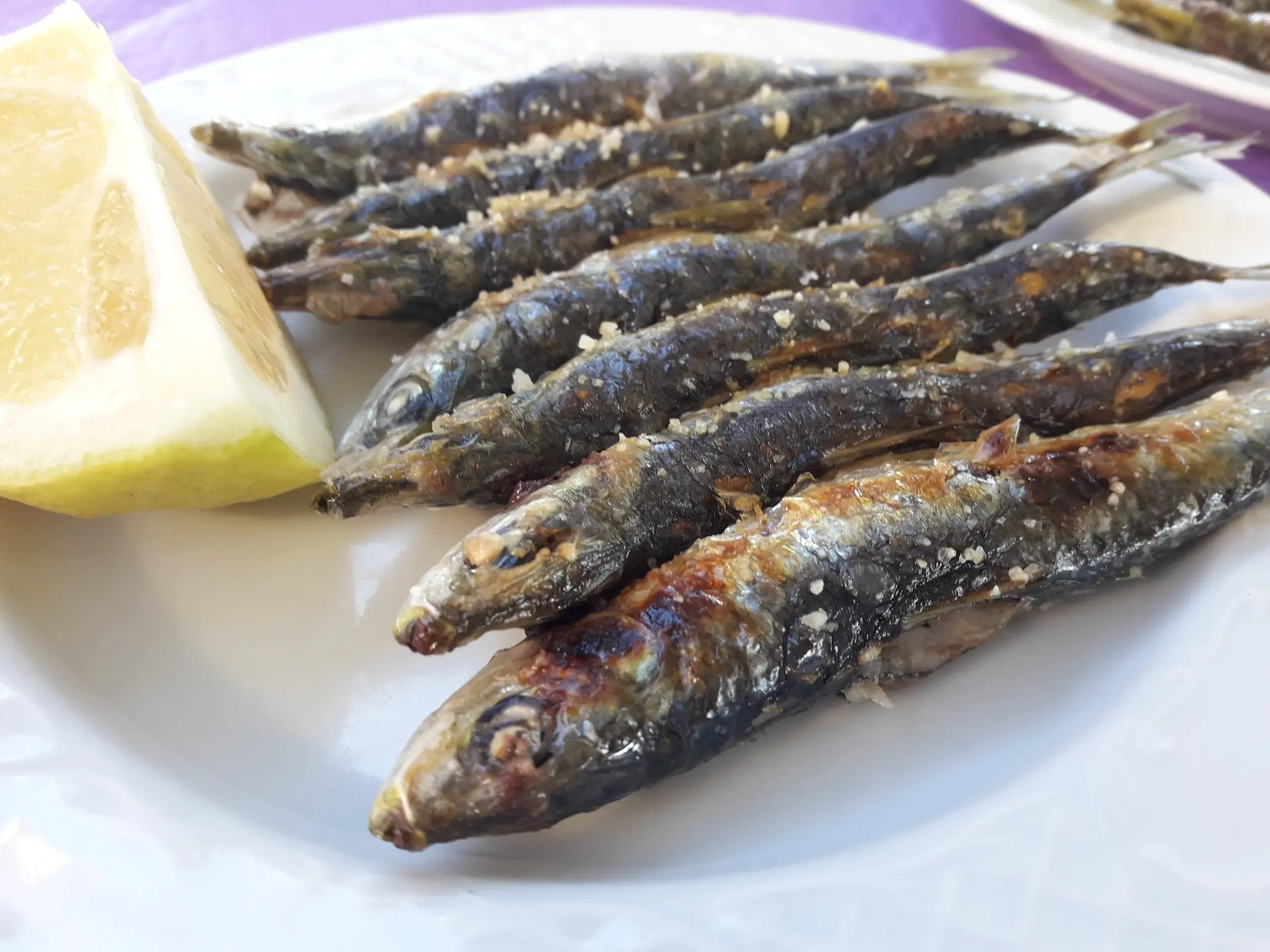 Sardines