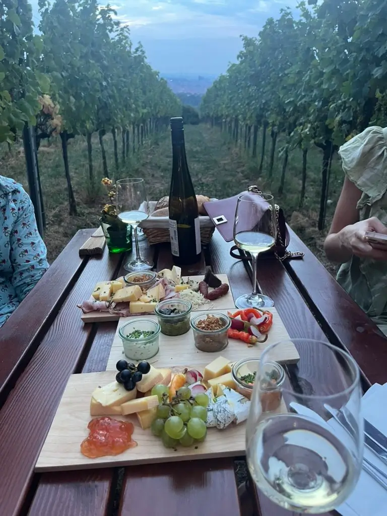 Mediterranean Aperitif in a Vineyard at Sunset Outdoor Mediterranean aperitif with wine and cheese board in a vineyard at sunset