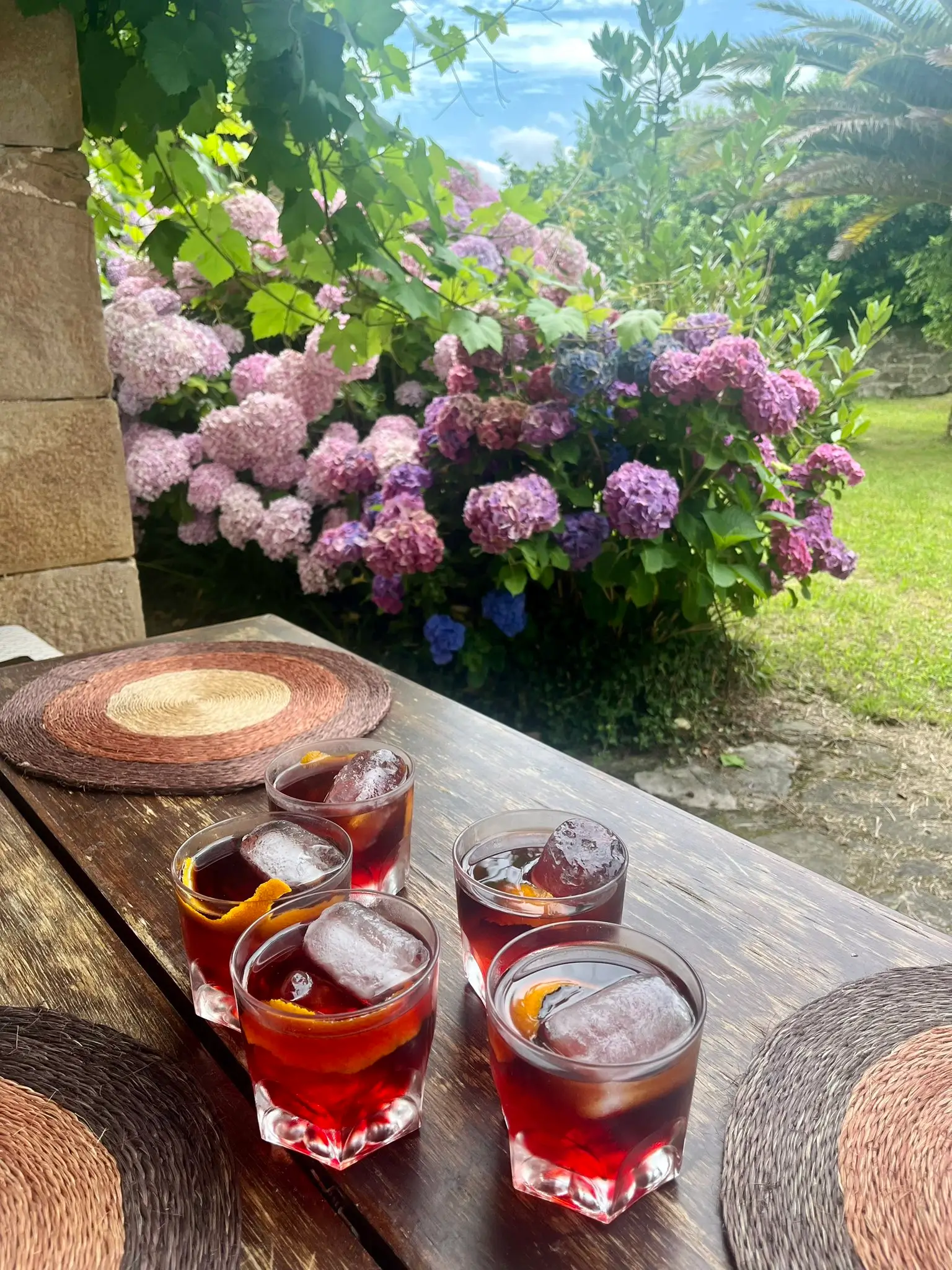 Vermouth and Hydrangeas on a Summer Table Glasses of vermouth with ice and orange peel on a rustic table beside blooming hydrangeas and garden greenery.